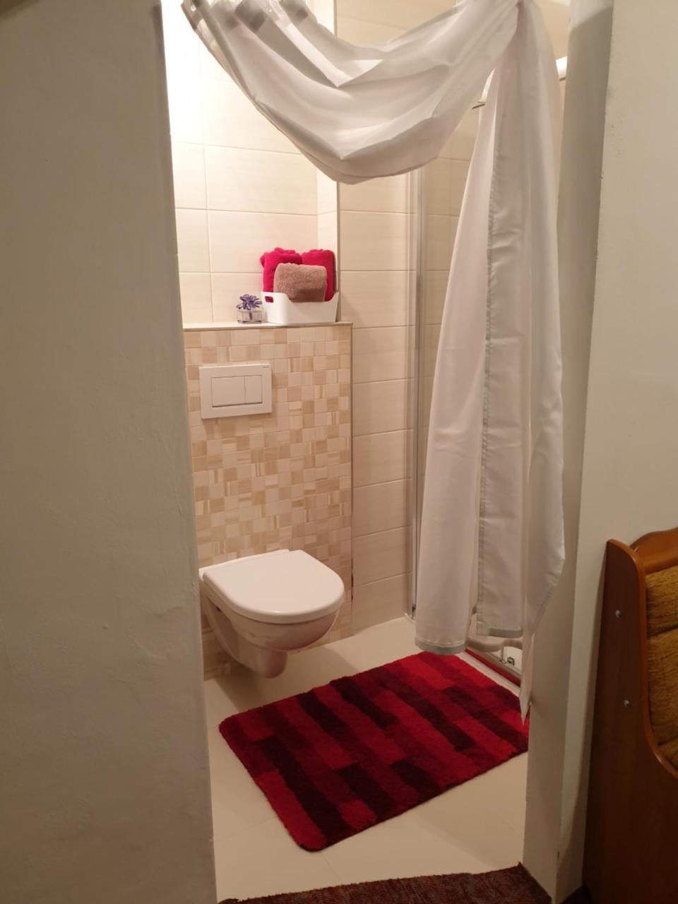 Hotel Koruna Rožnov pod Radhoštěm エクステリア 写真